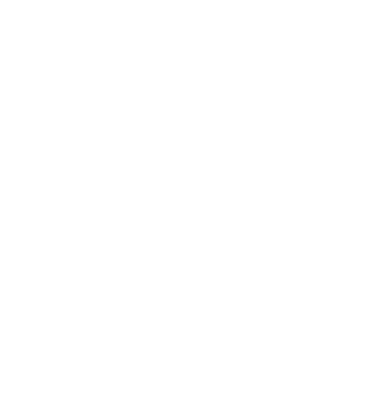 Trans4m Haiti